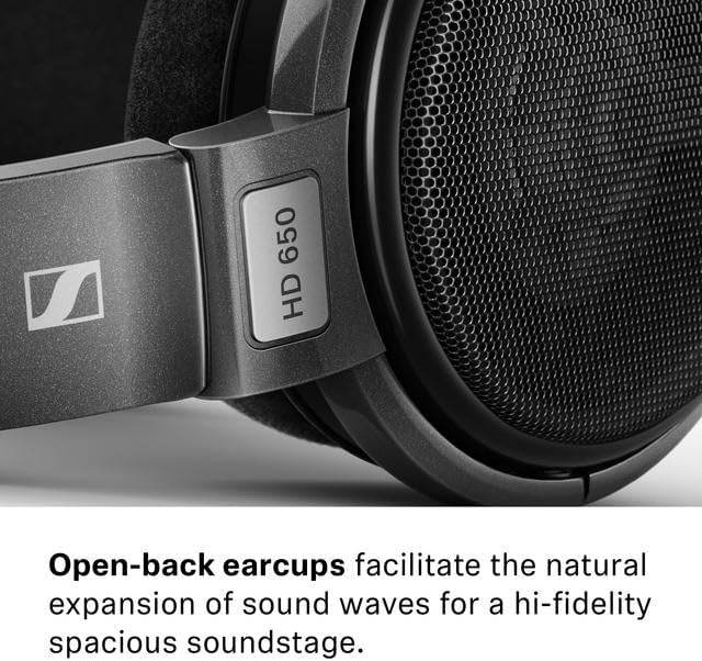 Sennheiser Consumer Audio HD 650 - Audiophile Hi-Res Open Back Dynamic Headphone, Titan - New Condition