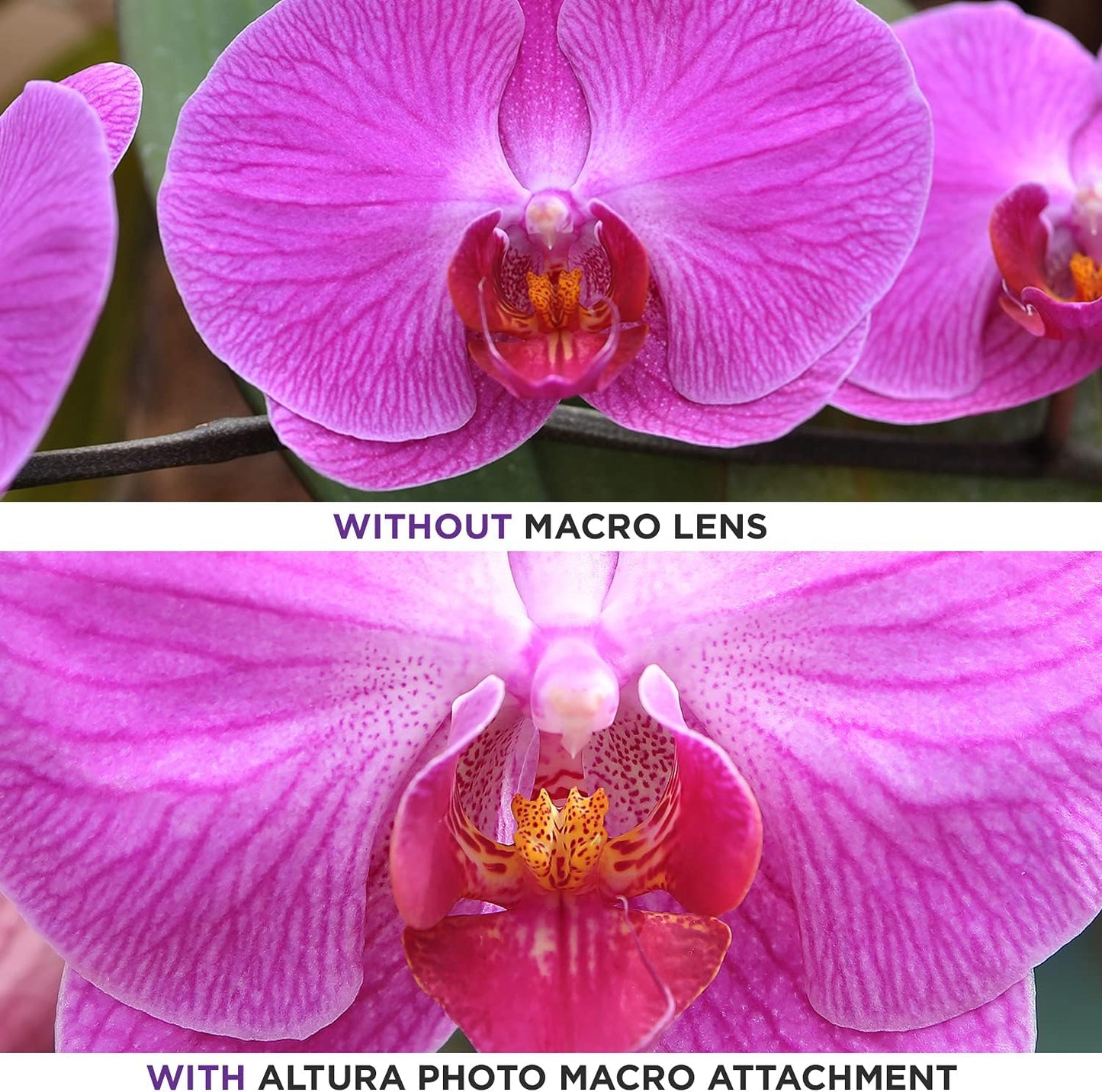 Altura Photo 49mm 0.43x Professional HD Wide Angle Lens with Macro for Mirrorless Cameras - New Condition