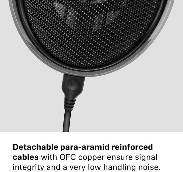 Sennheiser Consumer Audio HD 650 - Audiophile Hi-Res Open Back Dynamic Headphone, Titan - New Condition