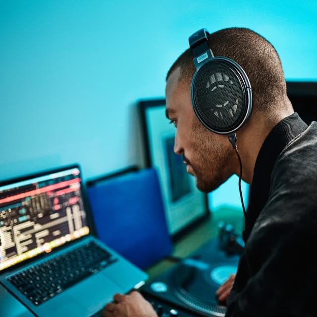 Sennheiser Consumer Audio HD 650 - Audiophile Hi-Res Open Back Dynamic Headphone, Titan - New Condition