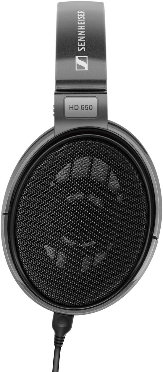 Sennheiser Consumer Audio HD 650 - Audiophile Hi-Res Open Back Dynamic Headphone, Titan - New Condition