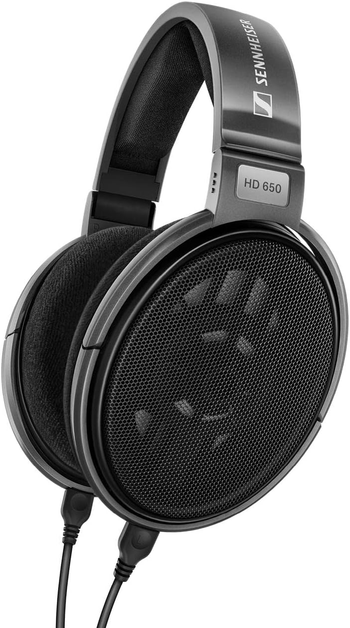 Sennheiser Consumer Audio HD 650 - Audiophile Hi-Res Open Back Dynamic Headphone, Titan - New Condition