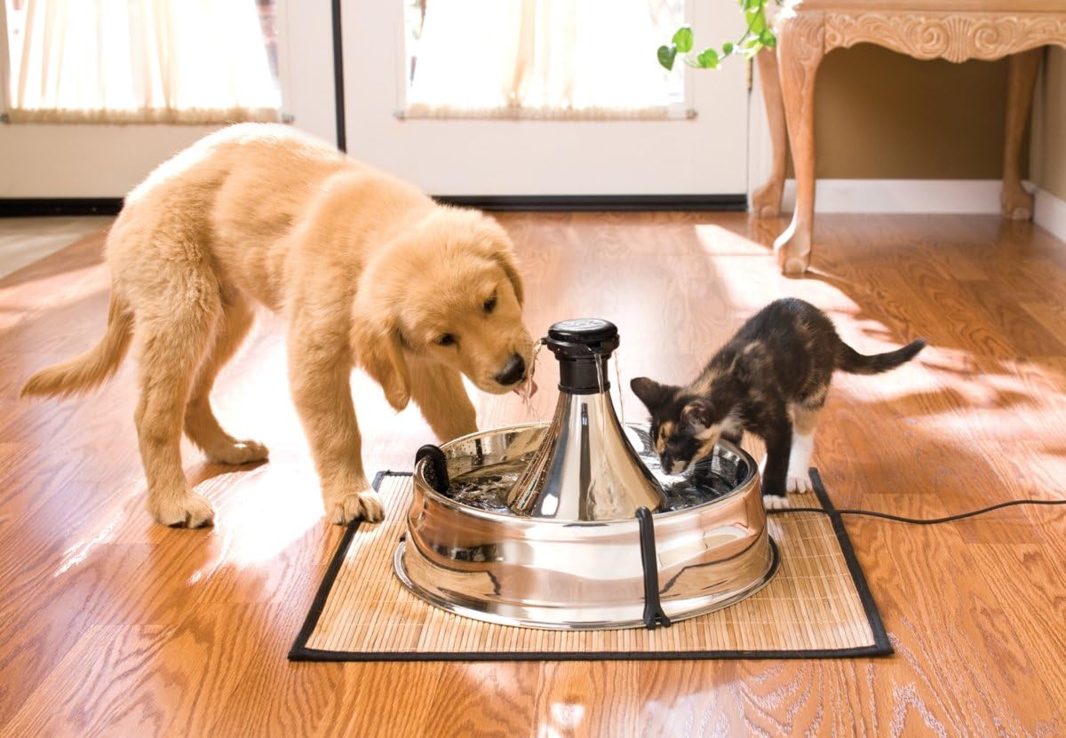 PetSafe Drinkwell 360 Stainless Steel Pet Water Fountain for Dogs & Cats - New Condition