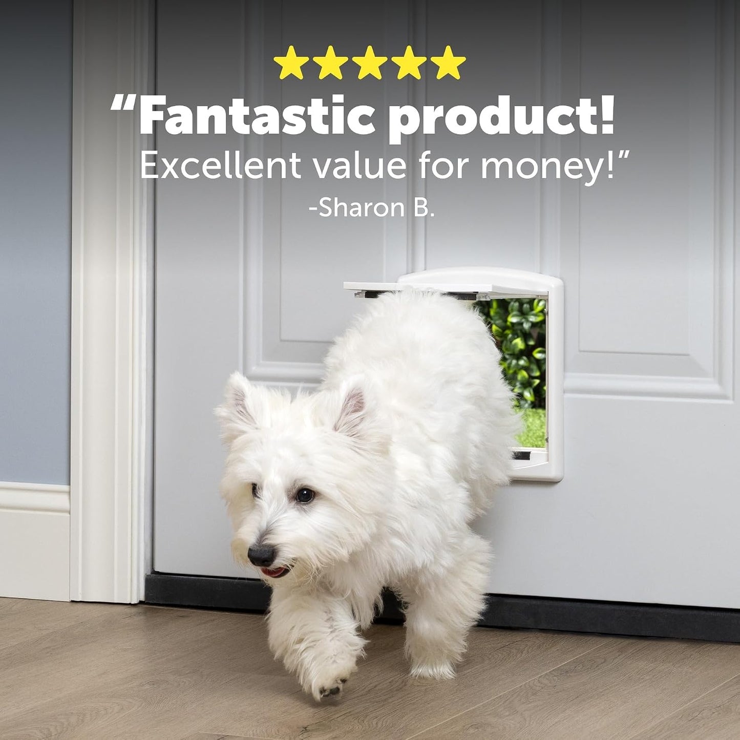 PetSafe Staywell 2-Way Locking Pet Door for Cats & Small Dogs - Large White - New Condition