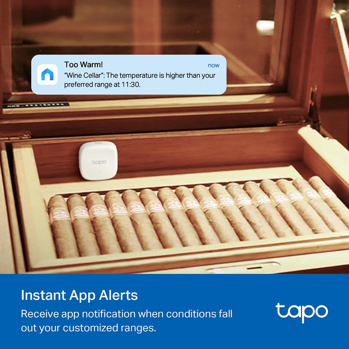 Tapo T310 Smart Temperature & Humidity Sensor - New Condition