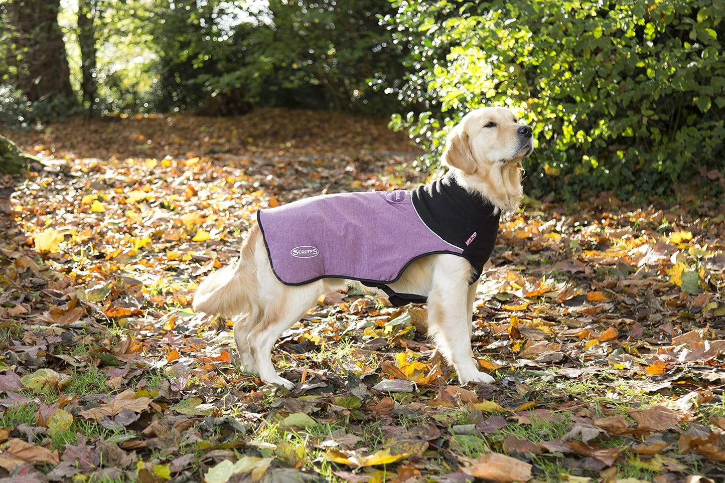 Scruffs Dog Thermal Dog Coat, 60cm, Cajun Magenta Purple - New Condition
